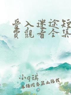 爱入迷途短剧免费观看全集完整版
