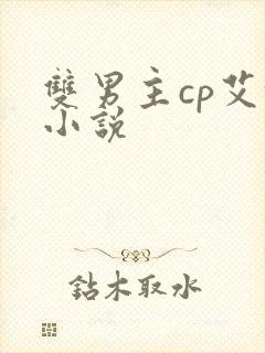 双男主cp艾俊小说