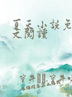 夏天小说免费全文阅读