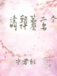 清朝第二个皇上叫什么名 清朝第二个皇上叫什么名