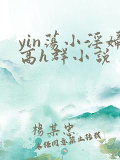 yin荡小淫妇高h群小说
