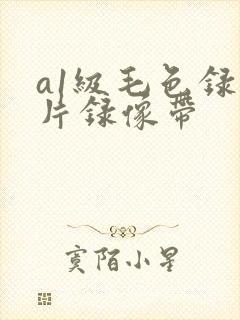 a1级毛色录像片录像带
