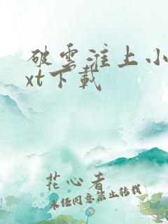 破云淮上小说txt下载