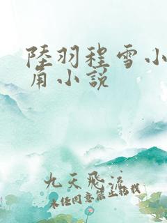 陆羽程雪小说主角小说