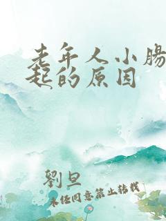 老年人小肠气引起的原因