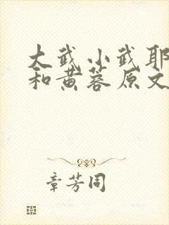 大武小武耶律齐和黄蓉原文