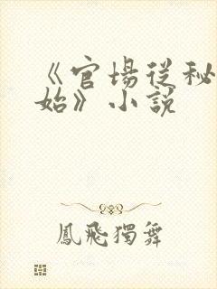 《官场从秘书开始》小说