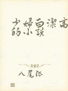 少妇白洁高校长的小说