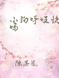 小狗呼吸快正常吗