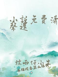 小说免费潇潇雨声迟