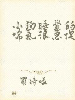 小狗睡觉的时候喘气很急促