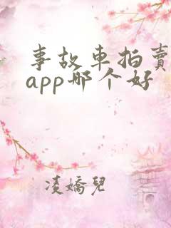 事故车拍卖平台app哪个好