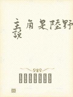 主角是陆野的小说