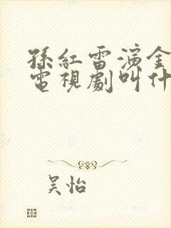 孙红雷演金海的电视剧叫什么