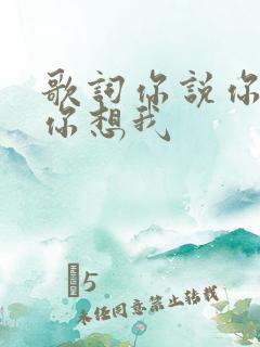 歌词你说你爱我你想我