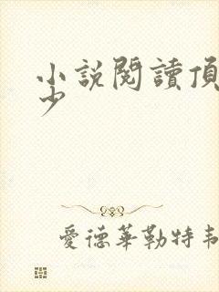 小说阅读顶级弃少