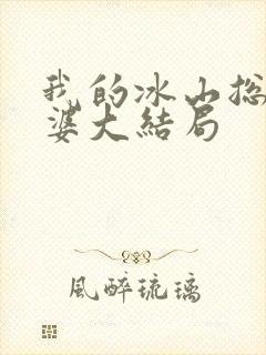 我的冰山总裁老婆大结局