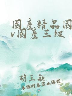 国产精品国产av国产三级