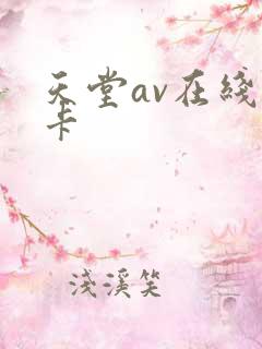 天堂av在线不卡