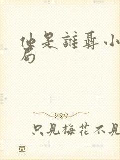 他是谁聂小雨结局