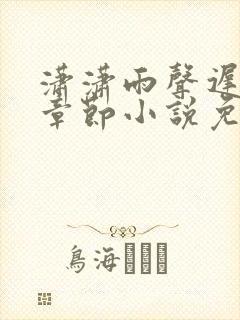 潇潇雨声迟最新章节小说免费阅读