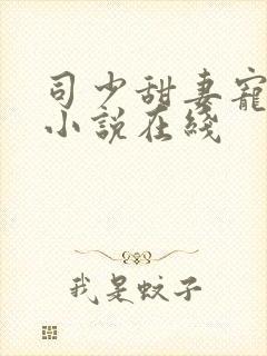 司少甜妻宠定了小说在线