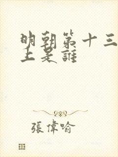 明朝第十三个皇上是谁 明朝第十三个皇上是谁