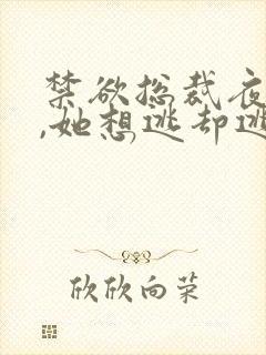 禁欲总裁夜夜缠,她想逃却逃不掉阅读全文