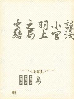 云之羽小说原著结局上官浅
