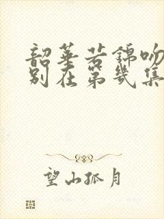 韶华若锦吻戏分别在第几集