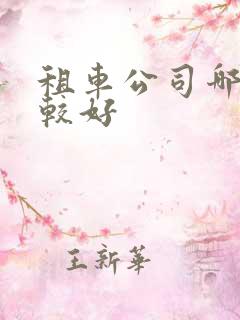 租车公司哪家比较好