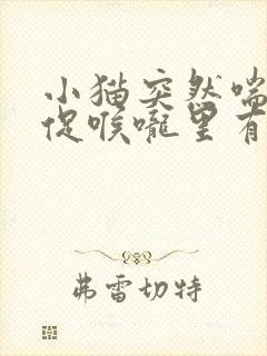 小猫突然喘气急促喉咙里有声音