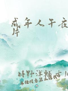 成年人午夜激情片
