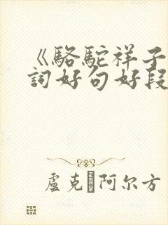 《骆驼祥子》好词好句好段