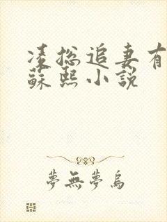 凌总追妻有点甜苏熙小说 凌总追妻有点甜苏熙小说
