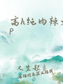 高h纯肉辣文np