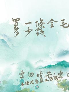 买一条金毛幼犬多少钱