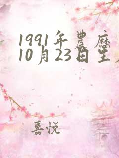 1991年农历10月23日生辰八字