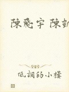 陈飞宇 陈凯歌