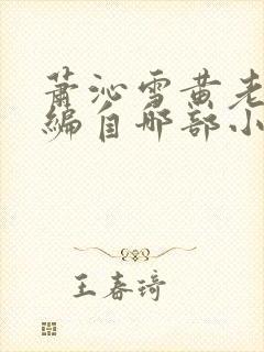 萧沁雪黄老板改编自哪部小说
