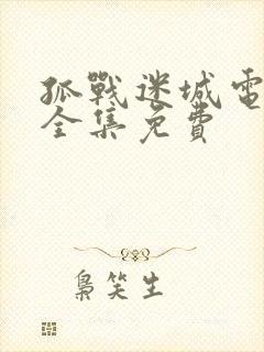 孤战迷城电视剧全集免费 孤战迷城电视剧全集免费