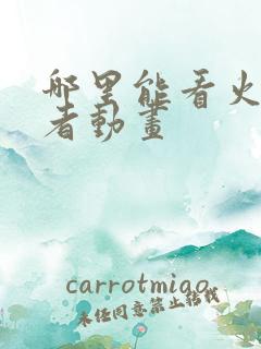 哪里能看火影忍者动画
