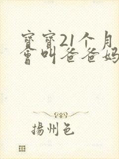 宝宝21个月只会叫爸爸妈妈