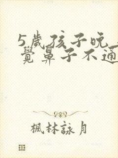 5岁孩子晚上睡觉鼻子不通气什么原因