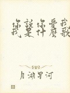 你说你爱我你想我是什么歌