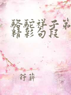 骆驼祥子第8章精彩句段