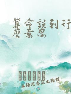 算命说到行运什么意思