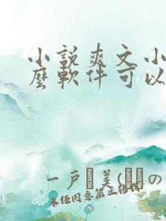 小说爽文小说什么软件可以看免费