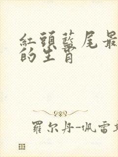 红头蓝尾最准确的生肖