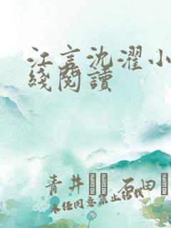 江言沈濯小说在线阅读